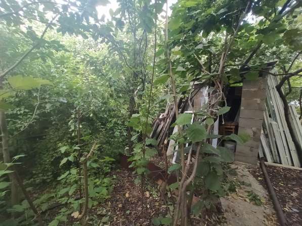 Ровный участок на 7км СТ Горнодолинный