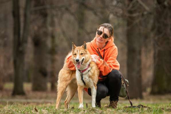 Мистер лучезарная улыбка Янтарь ищет дом в Москве фото 15