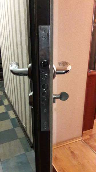 Дверь металическая, входная в Санкт-Петербурге фото 4
