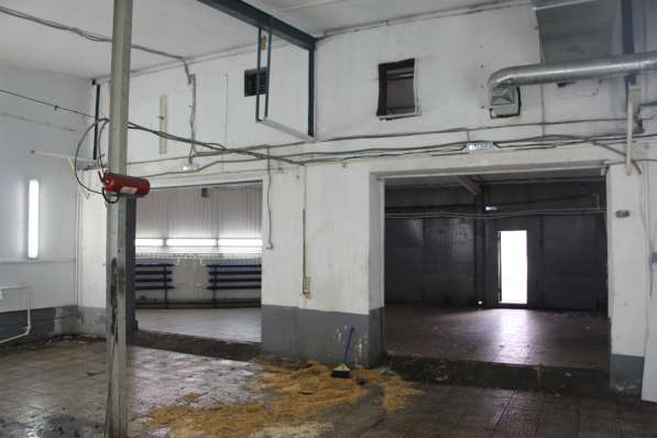 Помещение под клуб 190 м2 в Москве