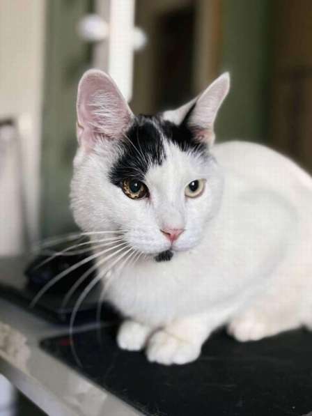 Йогурт — не про еду, а про любовь! в Москве фото 4