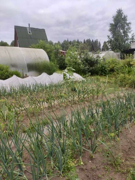 Продам дом на Нижнемостовой в Перми фото 15