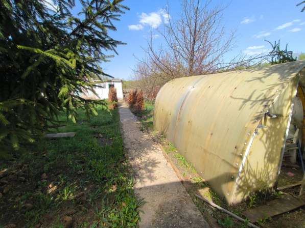 Продам дом в д. Дмитриевка в Елеце фото 5