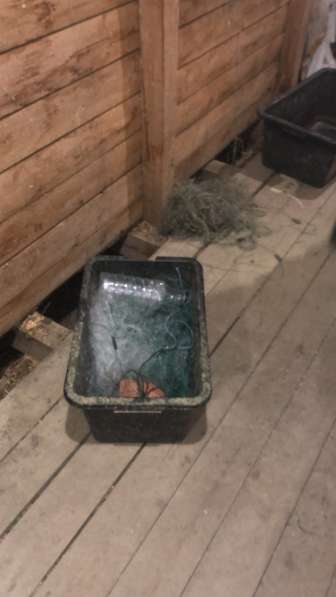 Эвакуатор 24 часа в Санкт-Петербурге фото 8