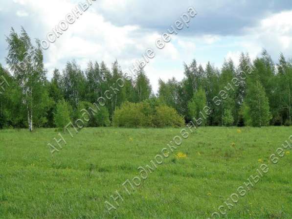 realty_mapper3.plot_in_locationПлощадь 253.00 сот.Есть Электричество, Газ. в Москве фото 42