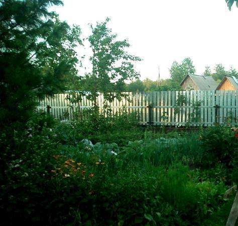 дачу в Утяшево, черта города в Тюмени фото 4