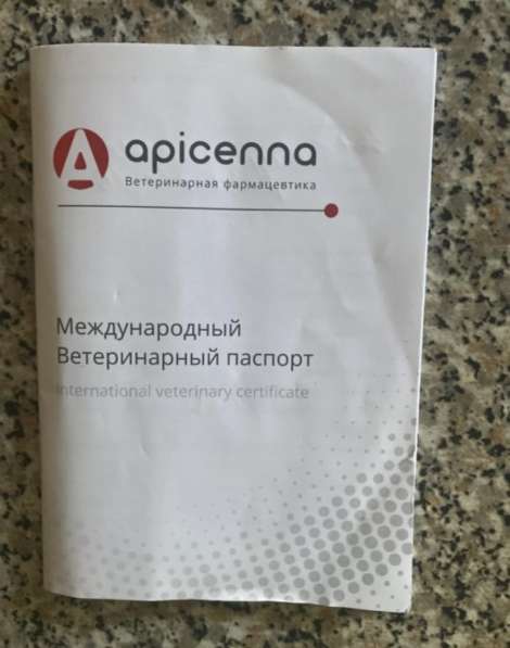 Продаётся американский стаффордширский терьер в Самаре