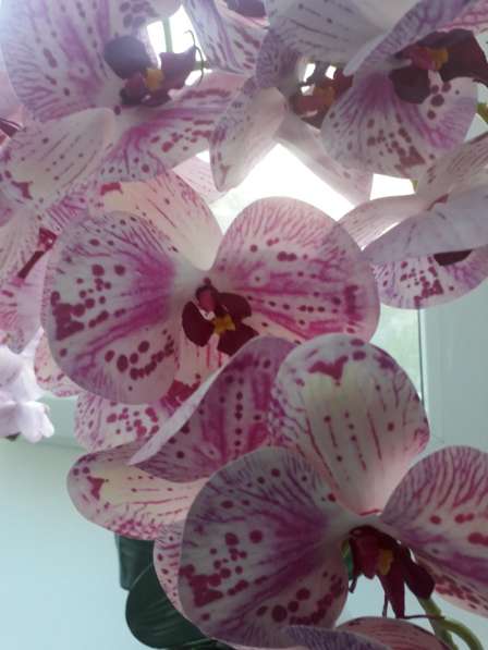 Композиция из силиконовый орхидеи в Елеце