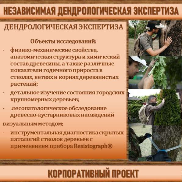 СИСТЕМА УПРАВЛЕНИЯ ФИТОСАНИТАРНЫМ СОСТОЯНИЕМ ЭКОСИСТЕМ в Сочи фото 21