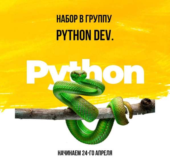 Набор в группу PYTHON Dev в фото 4