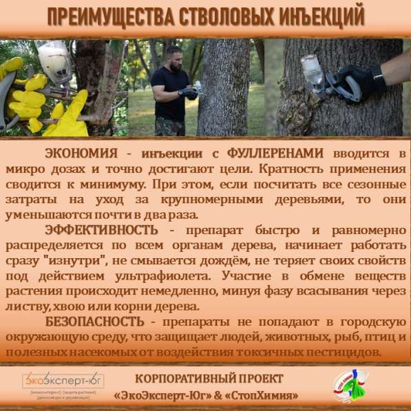 СИСТЕМА УПРАВЛЕНИЯ ФИТОСАНИТАРНЫМ СОСТОЯНИЕМ ЭКОСИСТЕМ в Сочи фото 27