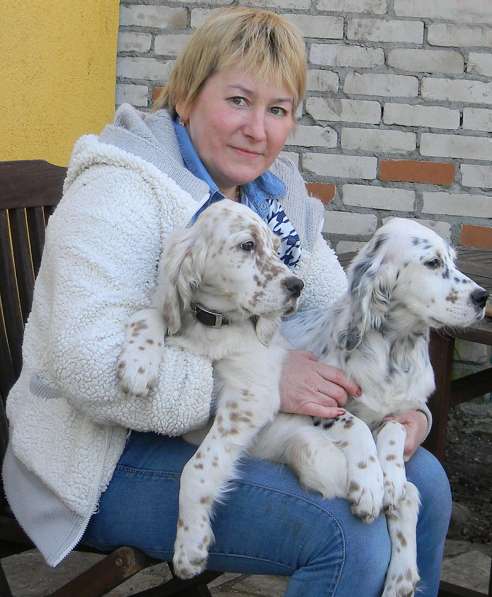 Нужен помощник для ухода за собаками в Москве фото 10