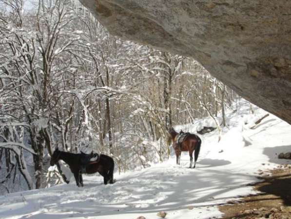 Конный тур «Зимняя сказка в горах Адыгеи» в Майкопе фото 5