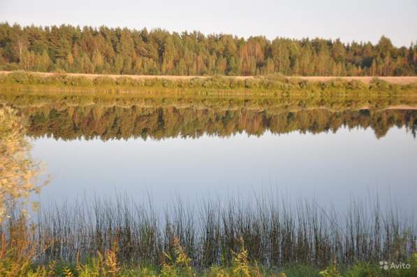 Участок ИЖС в Смоленском районе. Все коммуникации в Смоленске фото 4