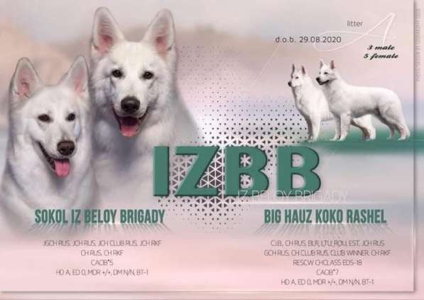 Очень перспективная малышка в Москве