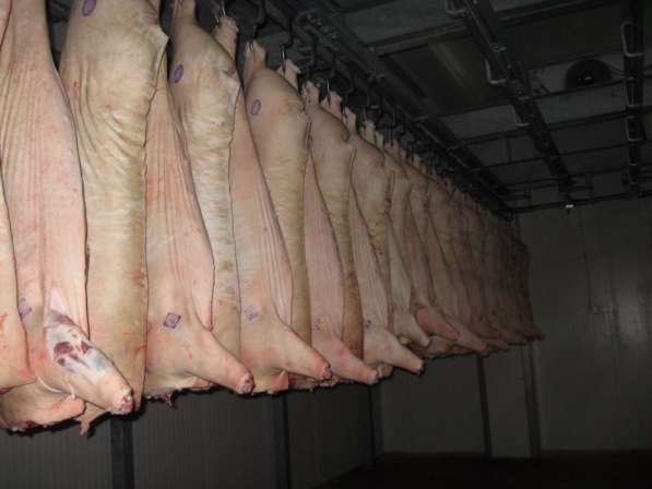 Мясо говядины и свинины оптом в Екатеринбурге фото 4
