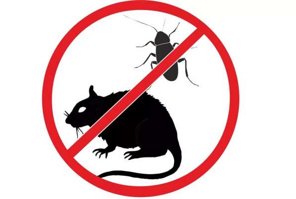 Дезинсекция/дератизация