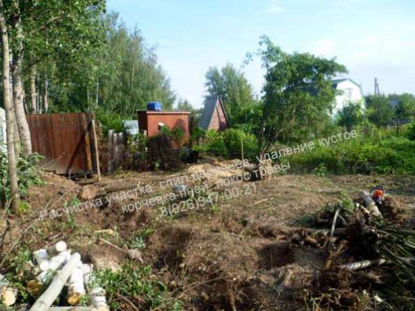 Расчистка участка под застройку в Дмитрове фото 3