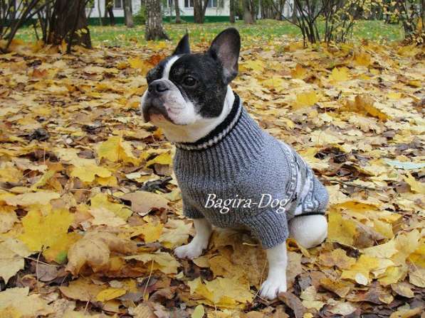 Свитера для собак ручной работы в Москве фото 57