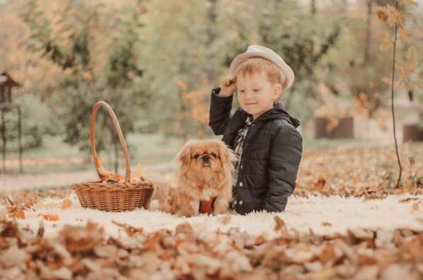 Фотограф в Москве