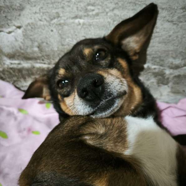 Чудесный мальчик Митя из приюта ищет семью в Санкт-Петербурге фото 8