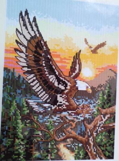 Алмазная мозаика по номерам картина Орел в Краснодаре фото 5
