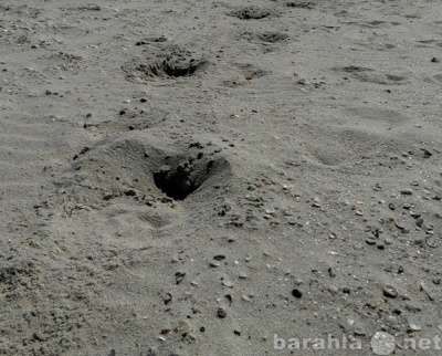 Песок березовский 6 куб.м в Екатеринбурге