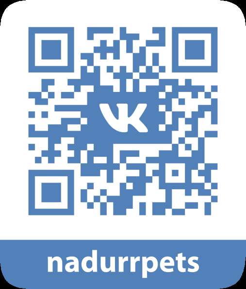 Стрижка кошек. Брянск в Брянске