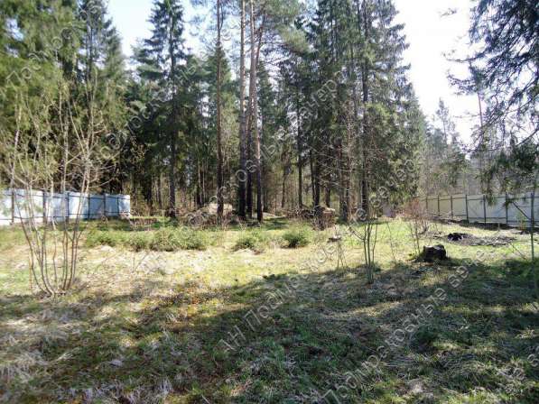 realty_mapper3.plot_in_locationСадовое некоммерческое тов-во. Площадь 20.00 сот.Есть Электричество. в Москве фото 16