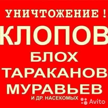 Уничтожение насекомых