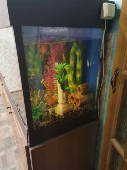 СРОЧНО продам аквариум в фото 3