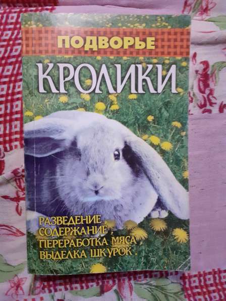 Книга Кролики