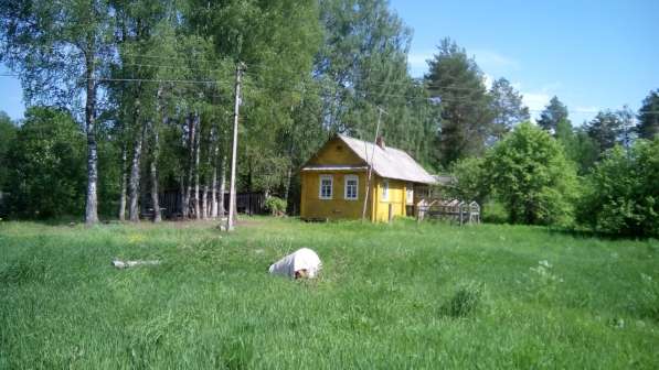 Продам два дома в сельской местности в Великом Новгороде фото 5