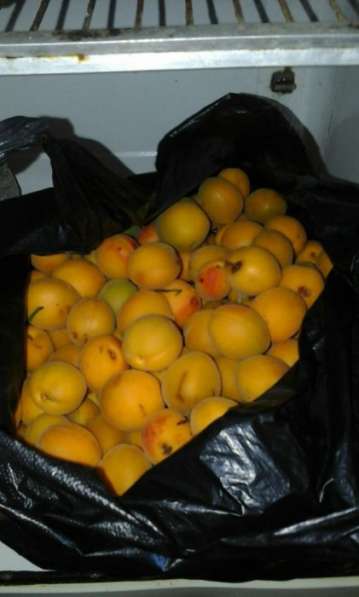 Продаются абрикосы