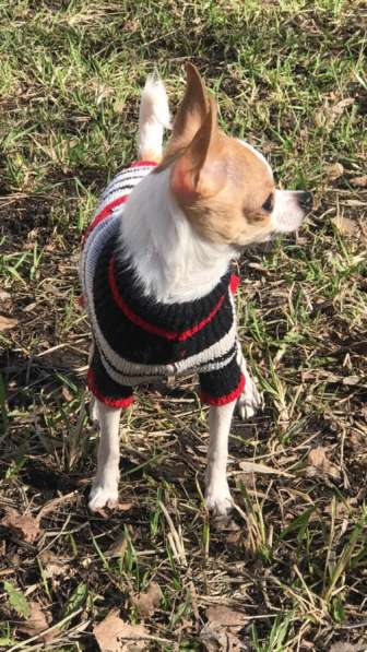 ВЯЗКА ВЕС 1,450 в Москве фото 4