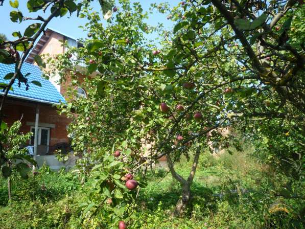 Кирпичный дом в г. Козельске, Калужской обл, 270 км. от МКАД в Королёве фото 6