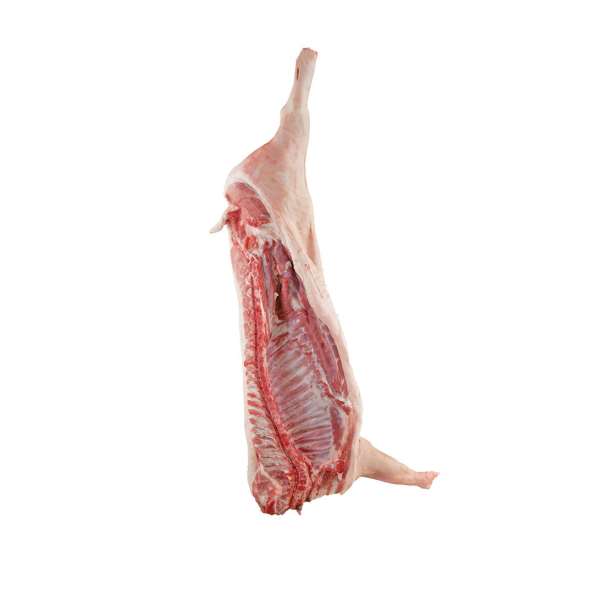 Мясо оптом, говядина, свинина, курица, субпродукты в Сергиевом Посаде фото 4