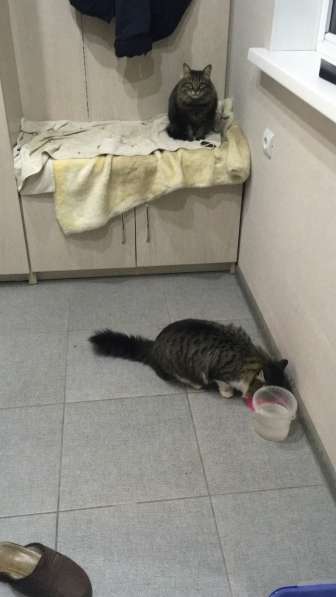 Сергей, 51 год, хочет пообщаться