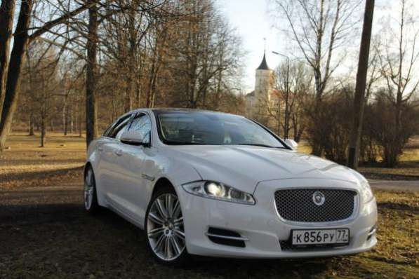 Аренда JAGUAR XJ на свадьбу в Санкт - Петербурге в Санкт-Петербурге фото 5