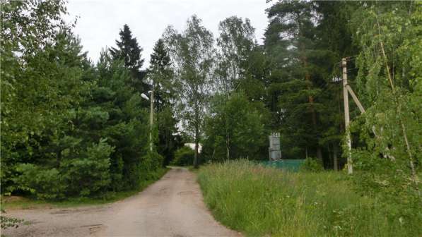 Земельный участок рядом с лесом в Москве