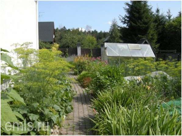 Продам уютный, жилой коттедж в Выборге фото 4