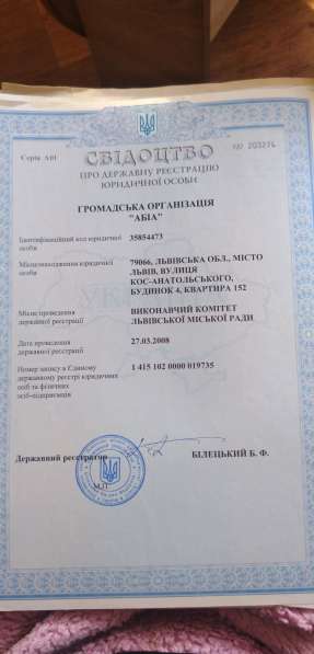 Чихуахуа яркий черный с белым мини кобелек в фото 13