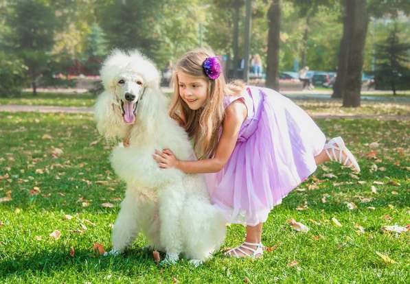 Новогодняя и Рождественская фотосессия с реквизитом в Москве фото 14