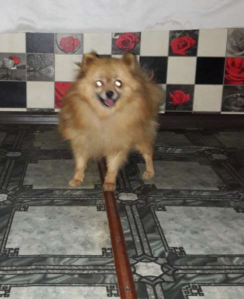 Улыбчивая малышка