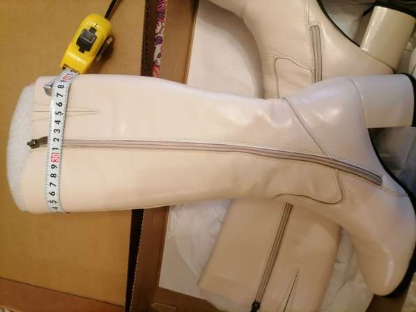 Сапоги демисезонные