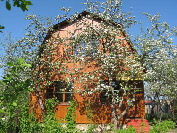 Уютный дом на острове