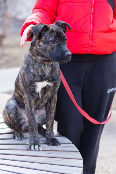 Джессика ищет дом в Москве