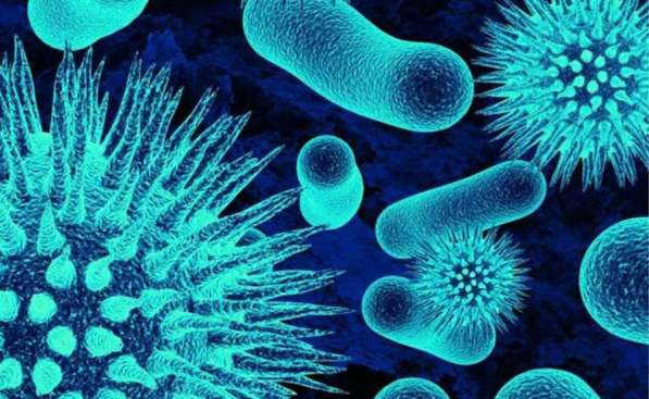 Репетитор по биологии в Нижнем Новгороде