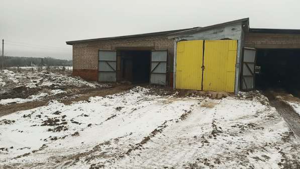 Агрохолдинг ищет соинвестора в Москве фото 4