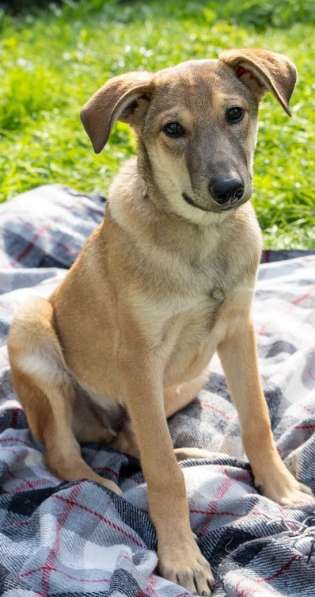 Сироте Марселю нужен дом в Москве фото 11